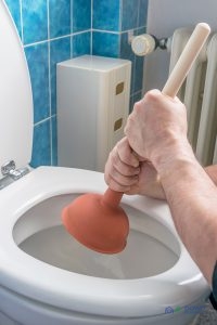Clogged Toilet Cleaning