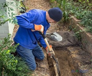 Sewer Line Repair