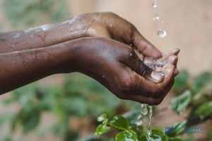 Hands Cup Water